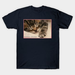 Funny Cats and Cute Kittens T-Shirt